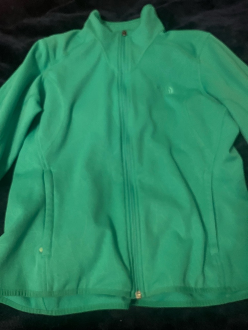 The North Face Green Full-Zip Fleece Jacket